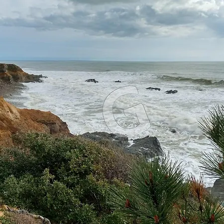 Maison Avec Piscine Chauffee A 700m De La Mer, 8 Pers, Proche Centre Ville, Sur - Fr-1-357-323 بيت للعطل *